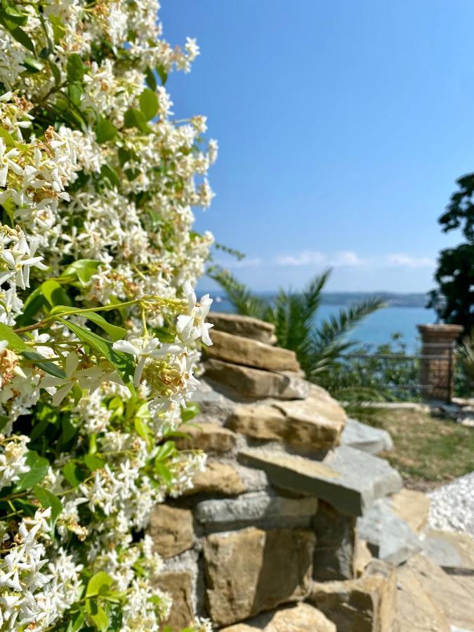 Sunvilla Koper Bagian luar foto